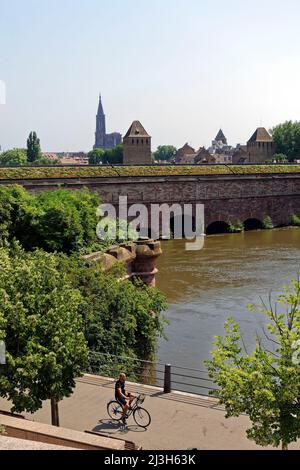 Frankreich, Bas Rhin, Straßburg, Altstadt als Weltkulturerbe von der UNESCO, dem Viertel Petite France, Barrage Vauban Vauban (Wehr), den überdachten Brücken über den Fluss krank und die Kathedrale von Notre Dame Stockfoto