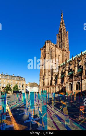 Frankreich, Bas Rhin, Straßburg, Altstadt, die von der UNESCO zum Weltkulturerbe erklärt wurde, Kathedrale Notre Dame, Schlossplatz (Place du Château), Sommeranimation, das Dichroic Field Stockfoto