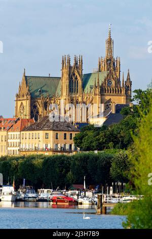 Frankreich, Mosel, Metz, der Plan d'Eau mit dem Yachthafen und der Kathedrale St. Etienne im Hintergrund Stockfoto