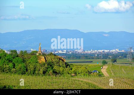 Frankreich, Bas Rhin, Wolxheim, Herz-Jesu-Statue (Horn-Statue), Wolxheim-Weinberg (Altenberg und im Hintergrund Straßburg mit der Kathedrale Notre Dame, die von der UNESCO zum Weltkulturerbe erklärt wurde Stockfoto