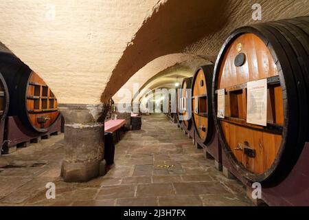 Frankreich, Bas Rhin, Straßburg, Place de l'Hopital, historische Höhle der Hospices de Strasbourg, die Galerie der Donner Stockfoto