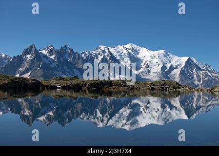 Frankreich, Haute-Savoie (74), Alpen, Mont-Blanc-Gebirge mit Aiguilles de Chamonix (links), Aiguille du Midi (3842m), Mont Blanc (4810m) und Aiguille de Bionnassay (4052m rechts), die sich im See von Chéserys spiegeln (2300m) Stockfoto