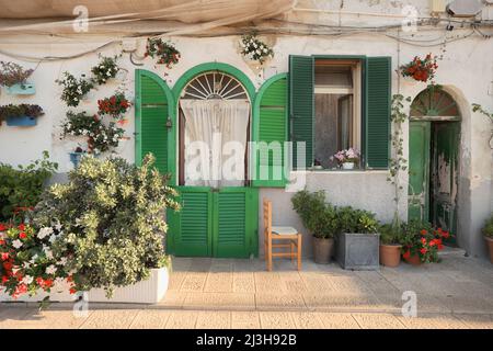 BARI, ITALIEN - 07. JULI 2018: Malerische Straße mit bunten Blumentöpfen in der Altstadt von Bari, Italien Stockfoto