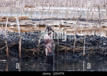 Uganda, Kasese-Distrikt, Katwe, Katwe-Krater-See, Frau, die den Schlamm aus dem Salzfeld entfernt Stockfoto