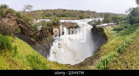 Uganda, Nwoya District, Pakwach, Murchison Falls National Park, die Murchison fällt auf dem Victoria Nil Stockfoto