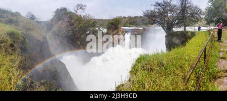 Uganda, Nwoya District, Pakwach, Murchison Falls National Park, die Murchison fällt auf dem Victoria Nil Stockfoto