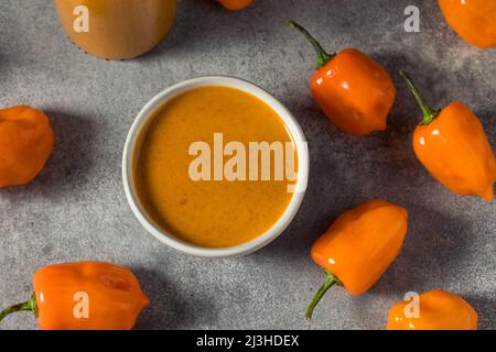 Hausgemachte Bio Habanero heiße Sauce in einer Flasche Stockfoto