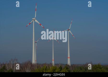 Mehrere Windturbinen zwischen Birken und Kiefern im Winter Stockfoto