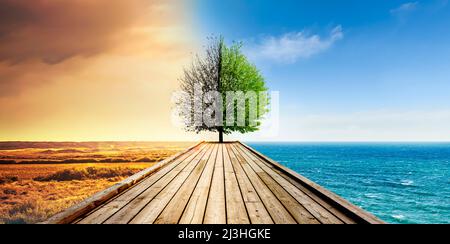 Baum, Symbol des Klimawandels von Dürre zu fruchtbarer Umwelt Stockfoto