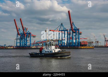 Schlepper vor den Hafenkranen in Hamburg an der Elbe Stockfoto