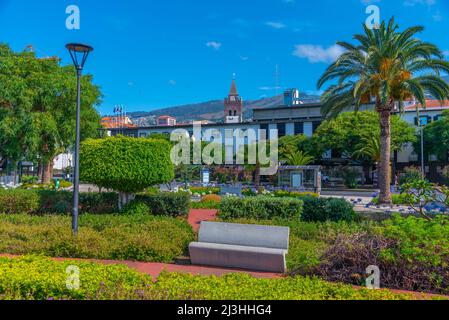 Nelson Mandela Park in der portugiesischen Stadt Funchal. Stockfoto