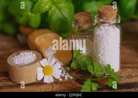 Medizinische Glasfläschchen auf Holztisch, gefüllt mit Globulis. Dekorieren Sie mit Blättern und Blumen. Homöopathie-Konzept. Stockfoto