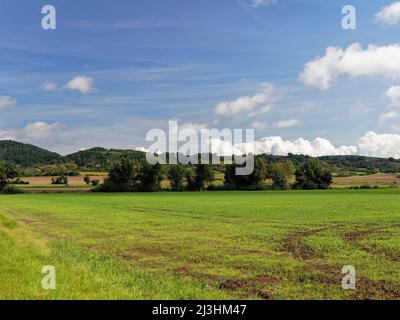 Blick vom Naturschutzgebiet Mainaue bei Augsfeld auf das Naturschutzgebiet hohe Wann, Stadt Hassfurt, Bezirk Hassberge, Unterfranken, Franken, Bayern, Deutschland Stockfoto