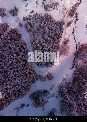 Straße schlängelt sich durch schneebedeckte Bäume Stockfoto