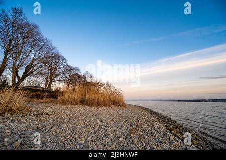 Sonnenuntergang über Konstanz Stockfoto