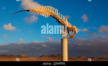 Spanien, Kanarische Inseln, Fuerteventura, Westküste, Punta de Toston, Kunstwerk, Delphin-Skelett auf Betonsäule montiert, karge Hügel im Hintergrund, himmelblau mit isolierten weißen Wolken Stockfoto