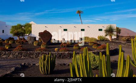 Kanarische Inseln, Lanzarote, Vulkaninsel, Weinanbaugebiet La Geria, südlich des Nationalparks Timanfaya, Bodega La Geria, weißes flaches Gebäude im Mittelgrund, Kakteen im Vordergrund, himmelblau mit weißen Wolkenstreifen Stockfoto