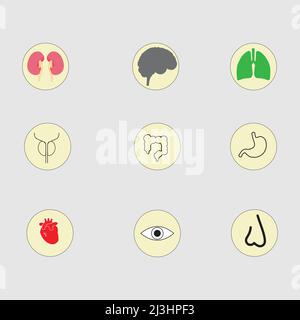 Menschliche Körper Organe medizinische Symbole Stock Vektor