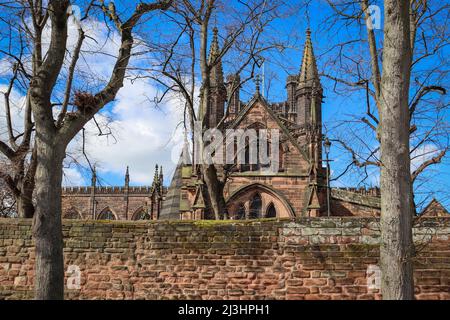 Chester Cathedral in voller Blüte, blauem Himmel und blühenden Bäumen Stockfoto