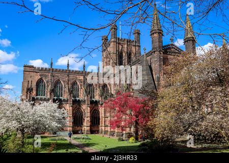 Chester Cathedral in voller Blüte, blauem Himmel und blühenden Bäumen Stockfoto