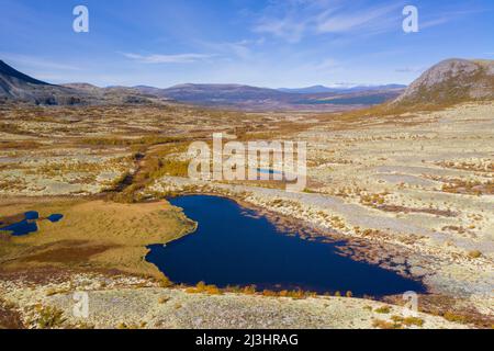 Luftaufnahme über den Teich und die norwegische Tundra mit Rentierflechten (Cladonia rangiferina) im Herbst/Herbst, Innlandet, Ostnorwegen Stockfoto