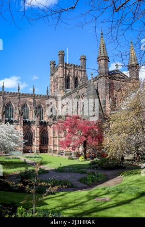 Chester Cathedral in voller Blüte, blauem Himmel und blühenden Bäumen Stockfoto