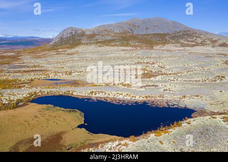 Luftaufnahme über den Teich und die norwegische Tundra mit Rentierflechten (Cladonia rangiferina) im Herbst/Herbst, Innlandet, Ostnorwegen Stockfoto