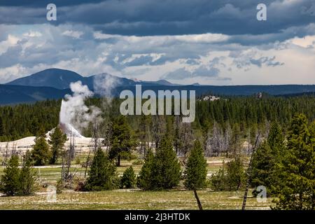 White Dome Geysir im Lower Geyser Basin des Yellowstone National Park, USA Stockfoto