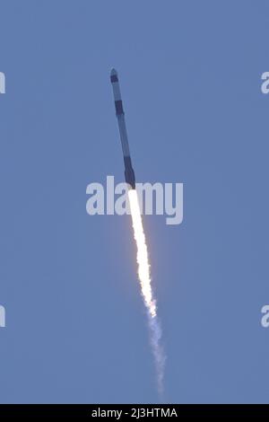 Florida, USA. 08. April 2022. Eine SpaceX Falcon 9-Rakete startet am Freitag, den 8. April 2022, die erste vierköpfige kommerzielle Besatzung für Axiom Space auf die Internationale Raumstation vom Komplex 39A im Kennedy Space Center, Florida. Foto von Bill Cantrell/UPI Kredit: UPI/Alamy Live Nachrichten Kredit: UPI/Alamy Live Nachrichten Stockfoto