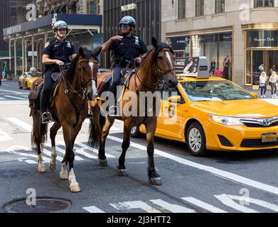 5 Ave/E 55 Street, New York City, NY, USA, NYPD Mounted Unit mit zwei Polizeibeamten und Pferden im Dienst auf der Fifth Avenue Stockfoto