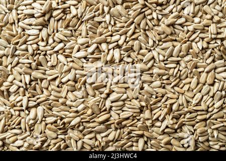 Geschälte Sonnenblumenkerne Makro Hintergrund. Textur von Helianthus-Kernen ohne Schale. Bio rohe Sonnenblumenkerne für glutenfreie gesunde Ernährung. Stockfoto