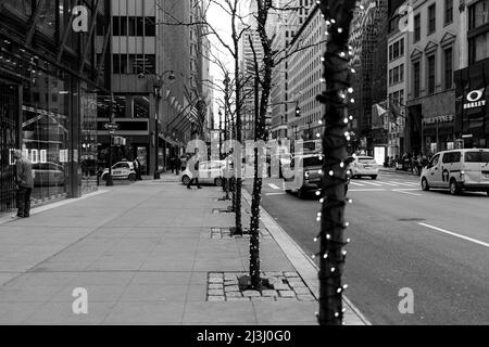 LITTLE BRAZIL, New York City, NY, USA, Weihnachten Beleuchtung der Bäume an der 5. Avenue Stockfoto