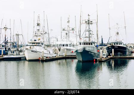 San Diego Kalifornien, USA San Diego Waterfront mit Segelbooten. Stockfoto