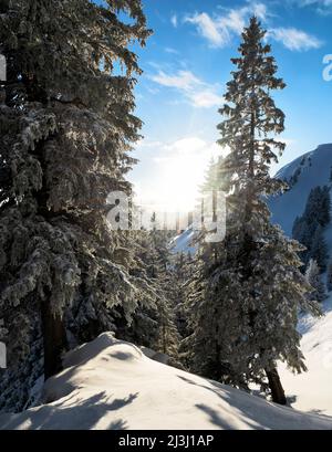 Verschneite Berglandschaft an einem sonnigen Tag im Winter. Gunzesriedtal, Allgäuer Alpen, Bayern, Deutschland, Europa Stockfoto