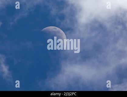 Weiße Wolken ziehen am späten Nachmittag an einem Halbmond vorbei, der an einem tiefblauen Himmel liegt. Stockfoto