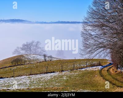 Wintermorgen im Fünfseenland, Gemeinde Pähl Stockfoto