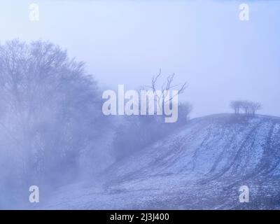 Wintermorgen im Fünfseenland, Gemeinde Pähl Stockfoto
