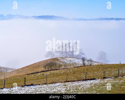 Wintermorgen im Fünfseenland, Gemeinde Pähl Stockfoto