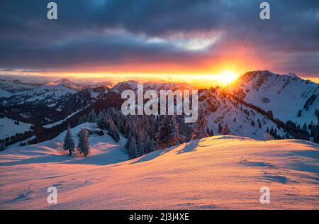 Farbenprächtiger Sonnenuntergang im Winter verschneite Allgäuer Berge am Steineberg. Allgäuer Alpen, Bayern, Deutschland, Europa Stockfoto