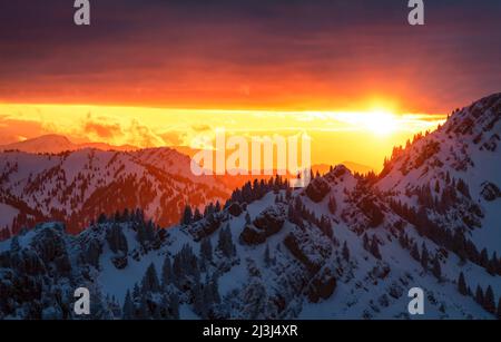 Farbenprächtiger Sonnenuntergang im Winter verschneite Allgäuer Berge bei Gunzesried. Allgäuer Alpen, Bayern, Deutschland, Europa Stockfoto