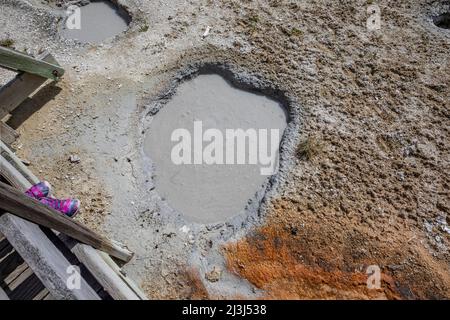 Thermische Merkmale im West Thumb Geyser Basin am Yellowstone Lake im Yellowstone National Park, USA Stockfoto