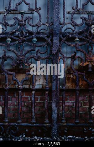 Detail eines verrosteten Türgrills in der Altstadt von Venedig, Italien Stockfoto