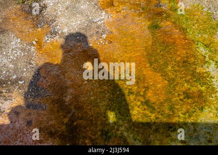 Thermische Merkmale im West Thumb Geyser Basin am Yellowstone Lake im Yellowstone National Park, USA Stockfoto