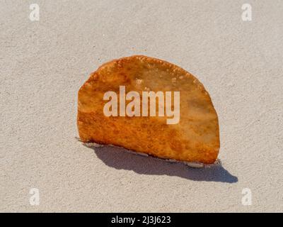 Johnnys Kuchen oder Yaniqueque, ein in der Dominikanischen Republik gebratenes Brot, im Hintergrund ein jungfräulicher Strand Stockfoto