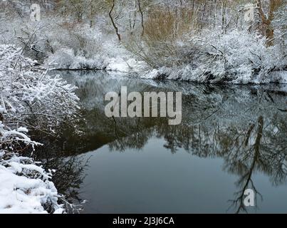 Europa, Deutschland, Hessen, Marburger Land, Winterstimmung auf der Lahn bei Lahntal, Auenwaldvegetation Stockfoto