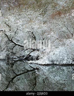 Europa, Deutschland, Hessen, Marburger Land, Winterstimmung auf der Lahn bei Lahntal, Auenwaldvegetation Stockfoto