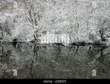 Europa, Deutschland, Hessen, Marburger Land, Winterstimmung auf der Lahn bei Lahntal, Auenwaldvegetation Stockfoto