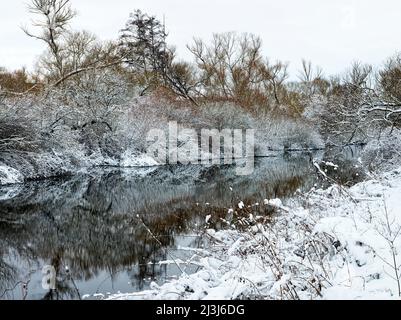 Europa, Deutschland, Hessen, Marburger Land, Winterstimmung auf der Lahn bei Lahntal, Auenwaldvegetation Stockfoto