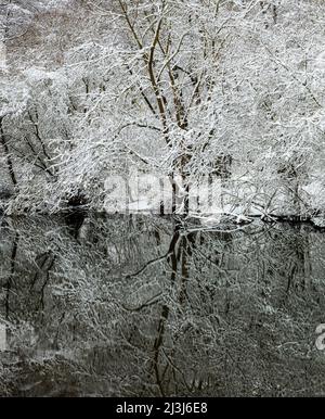 Europa, Deutschland, Hessen, Marburger Land, Winterstimmung auf der Lahn bei Lahntal, Auenwaldvegetation Stockfoto