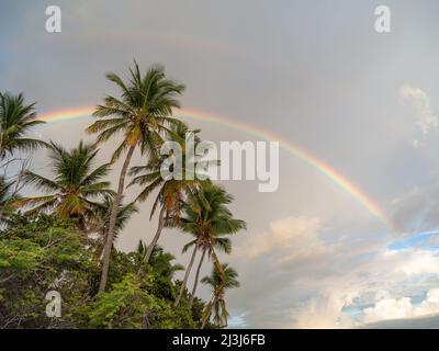Regenbogen an einem karibischen Strand mit Palmen, Kokospalmen und Wolken im Hintergrund. Stockfoto
